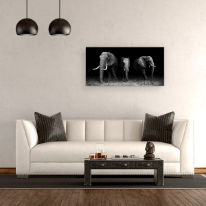 Tablou canvas - Iesind Din Intuneric, Elefant, Animale, Africa, Monocrom, Safari, 50 x 100 cm - Img 2