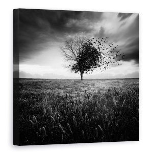 Tablou canvas - Iluzia Unei Primaveri Pierdute, Singuratic, Alb-Negru, Artistic, Pasari, 90 x 90 cm