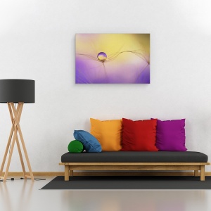 Tablou canvas - In Brate, Pana, Picatura, Picatura De Apa, Perla, 40 x 60 cm - Img 2