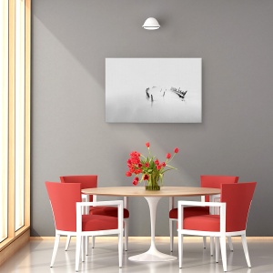 Tablou canvas - In Ceata, Vapor, Epava, Apa, Peisaj, Ocean, 40 x 60 cm - Img 4