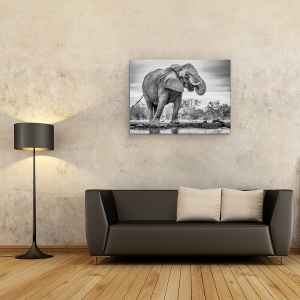 Tablou Canvas - In Picioare Mandru, Natura, Animal, Colt, Elefant, Monocrom, 75 x 100 cm - Img 2