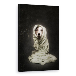Tablou canvas - Infasurat, Caini, Studio, Caine, Pet, Animal, 40 x 60 cm