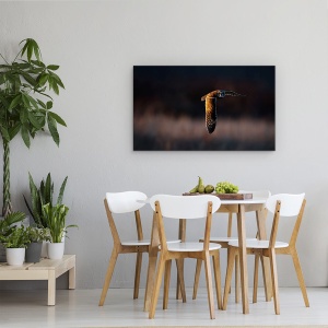 Tablou canvas - Infruntare, Pasare, Bufnita, Apus De Soare, Zbor, Salbatic, 50 x 80 cm - Img 4