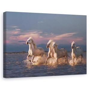 Tablou canvas - Ingerii din Camargue, Animal, Cal, Forta, Apus De Soare, 60 x 90 cm