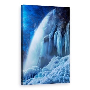 Tablou canvas - Inghetat In Lumina Lunii, Turture, 40 x 60 cm