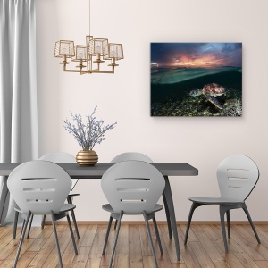 Tablou canvas - Inotand In Apus, Mare, Filipine, Testoasa De Mare, 60 x 75 cm - Img 4
