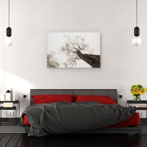 Tablou canvas - Intre Rai si Pamant, Peisaj, Copac, Perspectiva, Tonifiat, Monocolor, Inalta, 80 x 120 cm - Img 3