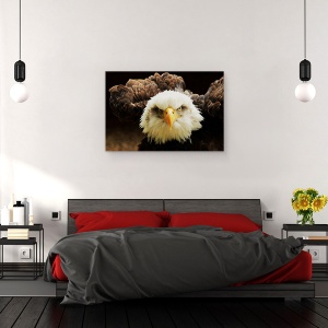 Tablou canvas - Judecatorul, Natura, Pasare, Vultur, Cioc, Pradator, 60 x 90 cm - Img 3