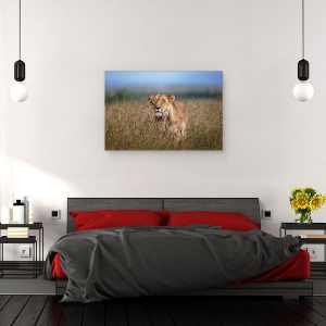 Tablou canvas - La Panda, Africa, Leu, Vanatoare, Feline, Leoaica, 40 x 60 cm - Img 3