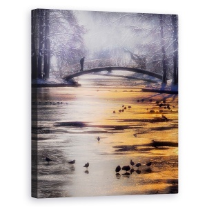 Tablou canvas - Lac Inghetat, Gheata, Iarna, Zapada, 60 x 75 cm