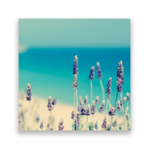 Tablou Canvas - Lavanda, Ocean, Plaja, 60 x 60 cm