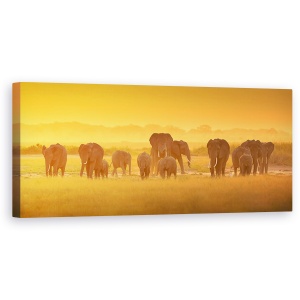 Tablou Canvas - Lumina Aurie, Elefanti, Turma, Fauna Salbatica, Apus De Soare, 30 x 90 cm