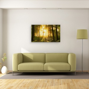Tablou canvas - Lumina In Padure, Lumina, Padure, Stare De Spirit, Copaci, Padure, 50 x 80 cm - Img 2