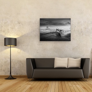 Tablou canvas - Lunga Calatorie Spre Casa, Caini, Animale, Apa, Oakville, 60 x 80 cm - Img 2