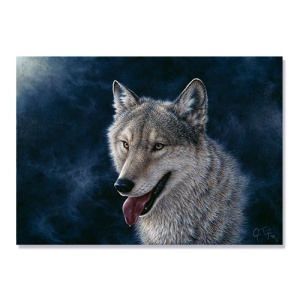 Tablou Canvas - Lup, 75 x 100 cm