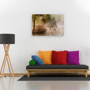 Tablou canvas - Lupta Cu Gasca, Gasca, Fens, Gaste, Gasca, Zbor, 40 x 60 cm - Img 2
