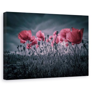 Tablou canvas - Maci, Flori, Rosu, Roz, 60 x 90 cm