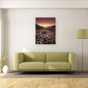 Tablou canvas - Mai Aproape De Soare, Peisaj, Margarete, Camp, Margareta, Munti, 60 x 80 cm - Img 2