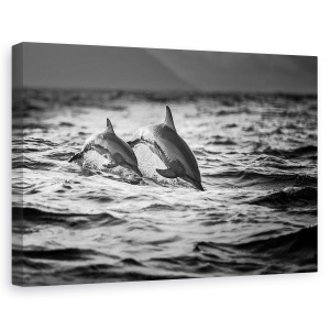 Tablou canvas - Mama Si Copilul, Natura, Animal, Salbatic, Delfin, 60 x 90 cm