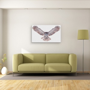 Tablou Canvas - Marea Bufnita Gri, Bufnita, Aripi, Pene, Canada, Iarna, Alb, 50 x 80 cm - Img 2