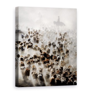 Tablou canvas - Marea Migratie A Chinei, Oi, Vite, Turma, 50 x 70 cm