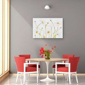 Tablou decorativ canvas natură moartă cu margarete alb-verde 60x90 cm