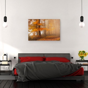 Tablou canvas - Marginea Padurii, Toamna, Frunze, 60 x 90 cm - Img 3