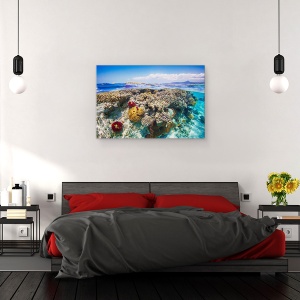 Tablou canvas - Mayotte Reciful, Recif, Mare, Ocean, Laguna, Mayotte, 40 x 60 cm - Img 2