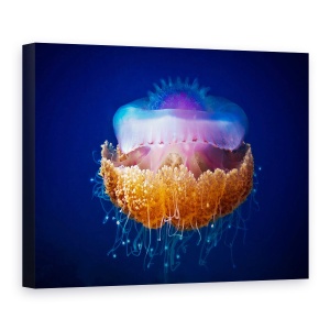 Tablou Canvas - Meduza, Maldive, Albastru, Violet, 60 x 80 cm