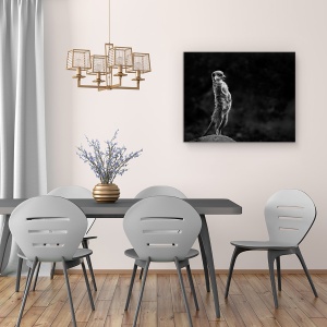 Tablou canvas - Meerkat, Animal, Meerkat, Salbatic, Salbatic, Spionaj, 60 x 75 cm - Img 3