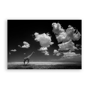 Tablou Canvas - Natura, Peisaj, Animal, Girafa, Africa, 80 x 120 cm