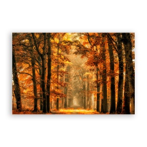 Tablou Canvas - Natura, Peisaj, Padure, Frunze, Toamna, 80 x 120 cm