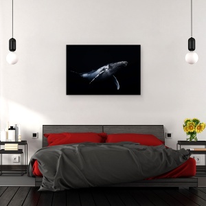 Tablou canvas - Negru Si Balena, Cocoasa, Sub Apa, Cetace, 40 x 60 cm - Img 3