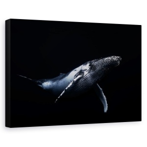 Tablou canvas - Negru Si Balena, Cocoasa, Sub Apa, Cetace, 60 x 90 cm