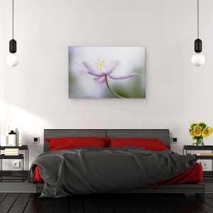 Tablou canvas - Nemorosa, Floare, Roz, Petale, Moale, 80 x 120 cm - Img 3