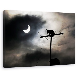 Tablou canvas - Nimic Nou Sub Soare, Pisica, Luna, Antena, Acoperis, Animal, 60 x 90 cm