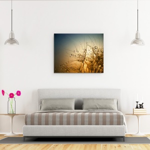 Tablou Canvas - Noapte Tandra,Picatura, Apa, Umed, Bland, 40 x 50 cm - Img 3