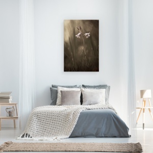 Tablou canvas - O Floare Mica Pe Pamant, Floare, Iarba, Sol, 40 x 60 cm - Img 3
