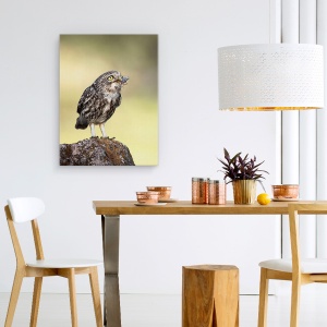 Tablou canvas - O Gustare De Seara, Natura, Salbatic, Animale, Pasari, 60 x 80 cm - Img 4