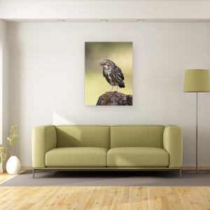 Tablou canvas - O Gustare De Seara, Natura, Salbatic, Animale, Pasari, 75 x 100 cm - Img 2