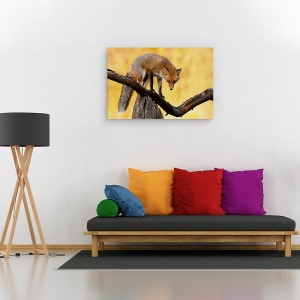 Tablou canvas - Ochi Aprinsi, Natura, Animal, Salbatic, Fauna, Vulpe, Ochi, 60 x 90 cm - Img 3