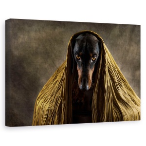 Tablou canvas - Ochi De Aur, Caini, Stralucitoare, Studio, Maro, 60 x 90 cm