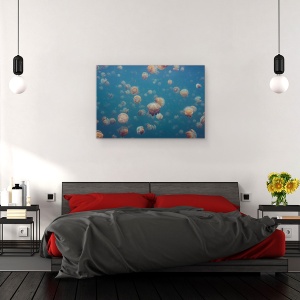 Tablou canvas - Oddworld, Palau, Micronesia, Meduze, Multime, 60 x 90 cm - Img 3