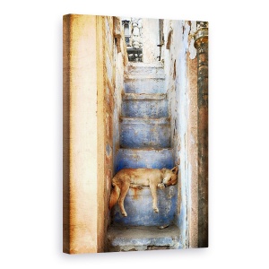 Tablou canvas - Ora De Somn, Caine, Scari, Rest, Dormind, 40 x 60 cm
