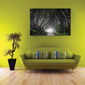 Tablou decorativ pădure natură pe canvas 60x90 cm