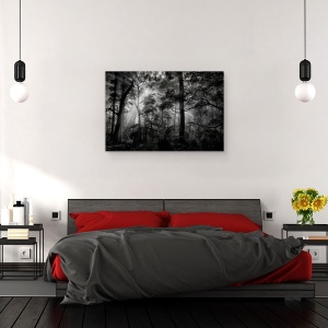 Tablou canvas - Padure, Usor, Soare, Alb-Negru, Intunecos, 60 x 90 cm - Img 3