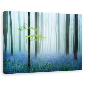 Tablou canvas - Padurea albastra..., Peisaj, Ceata, Vara, Flori, 80 x 120 cm