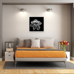 Tablou canvas - Papagalul Tulip, Floare, Lalea, Monocrom, Intuneric, Alb-Negru, 90 x 90 cm - Img 3