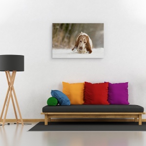 Tablou canvas - Pas Cu Pas, Caine, Pet, Zapada, Ninge, Iarna, 60 x 90 cm - Img 2