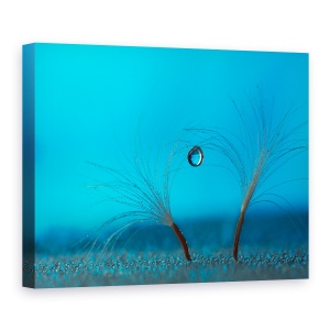 Tablou canvas - Pastreaza Echilibrul, Natura Moarta, Abstract, Albastru, Apa, 60 x 80 cm